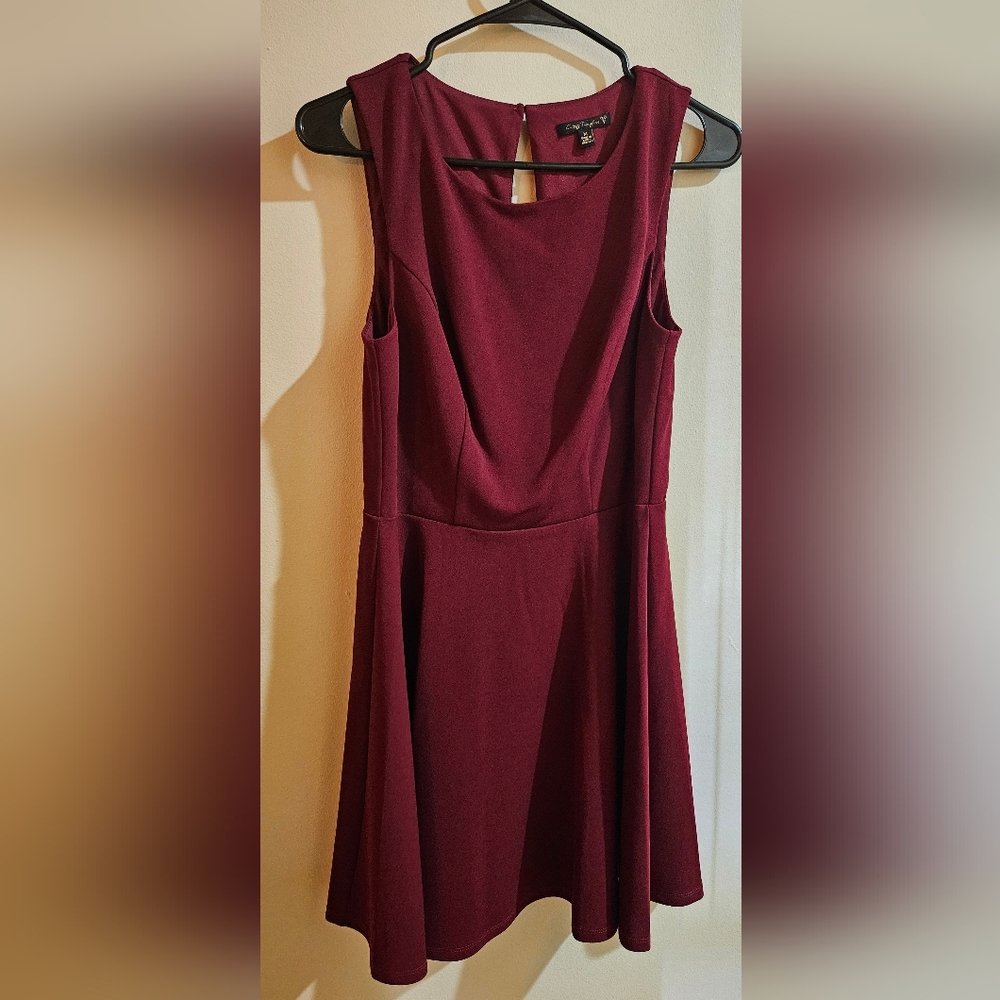 City Triangles Wine Red Mini Dress